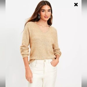 NWT Loft Shimmer V-Neck Sweater